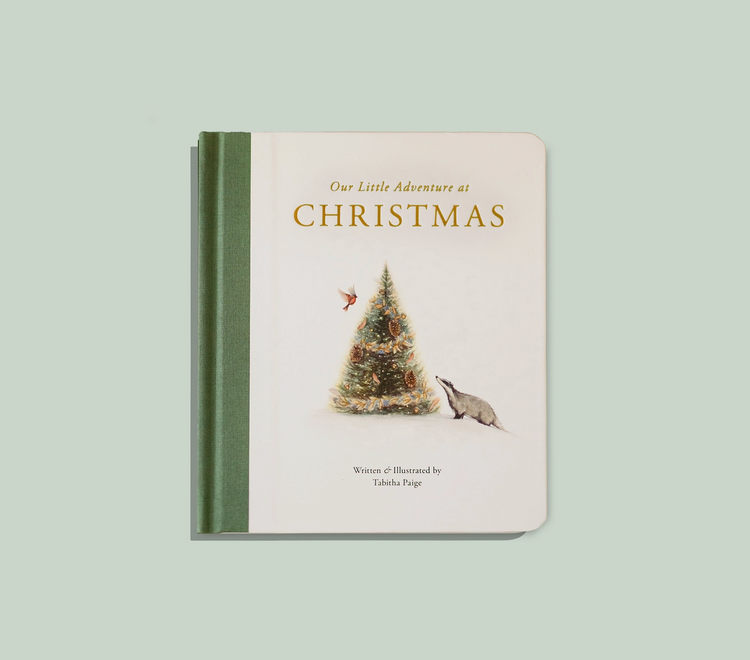 PAIGE TATE & CO Our Little Adventure at Christmas Book