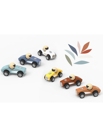 SPEEDY MONKEY Pull Back Racing Car