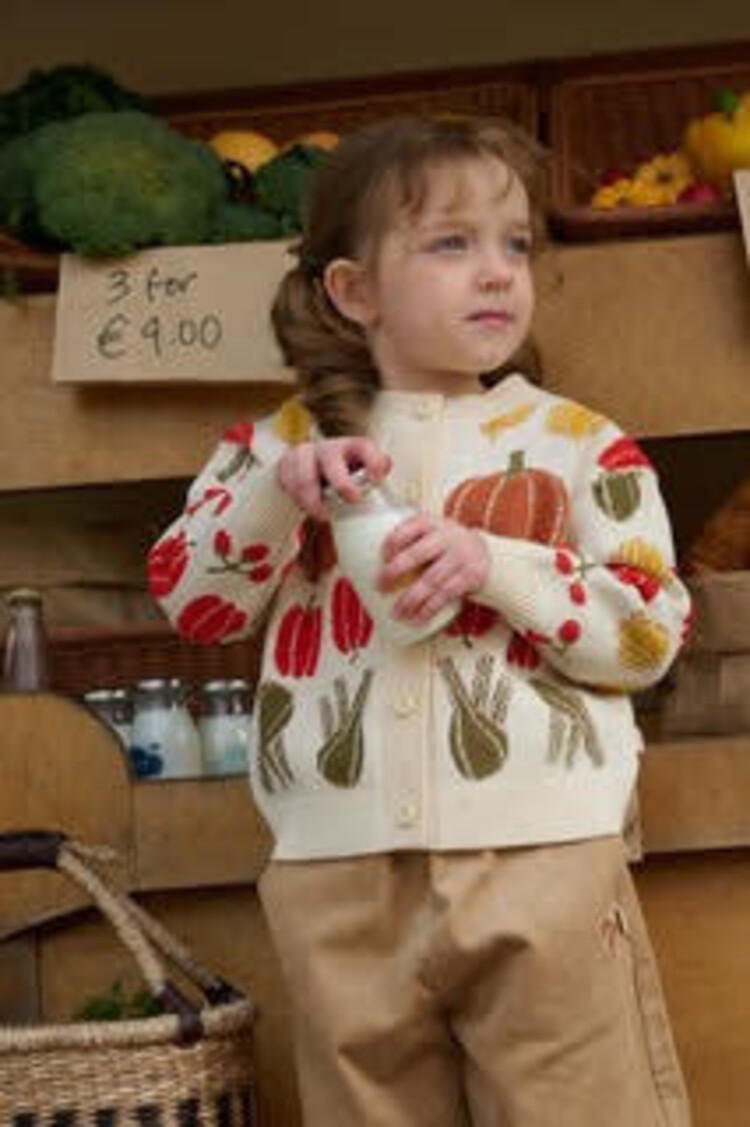 PETITE REVERY Veggie Jacquard Cardigan