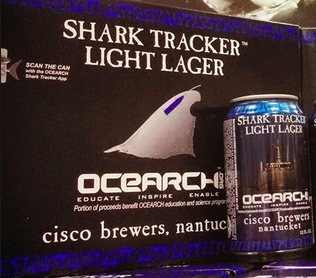 Cisco Brewers Shark Tracker Cans 12pk - 12oz
