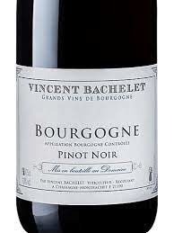 Vincent-Bachelet Bourgogne Pinot Noir 2020 - 750ml