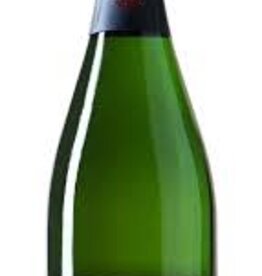 R. Pouillon Les Terres Froides Blanc de Blanc 2019 - 750ml