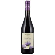 Cantina Horus Victoria Frappato Sole e Terra 2022 - 750ml