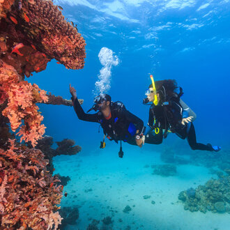 Become a Better Scuba Diver