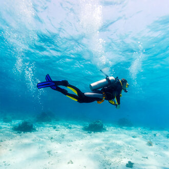 Start Here in Montreal, Dive Anywhere!
