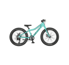 scott roxter 20 teal blue bike