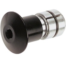 Problem Solvers 1 1/8" Carbon Fork Plug