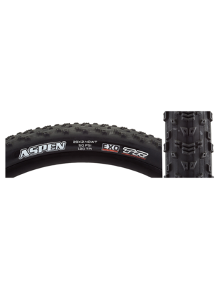 TIRE MAX ASPEN 29x2.4 BK FOLD/120 DC/EXO/TR