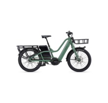 PakYak E+ 28MPH Patina Green