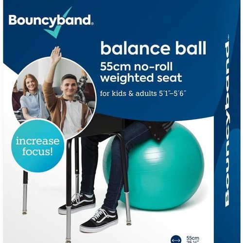 Classroom Aid No Roll, Weighted Balance Ball Chair for Kids & Adults up to 5’6” Tall