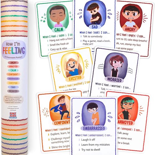 Brybelly How I'm Feeling Reversible Classroom Posters (8-pack)