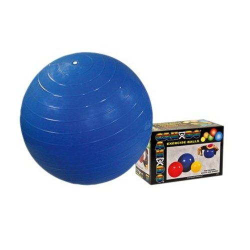 Therapy Equipment CanDo® Inflatable 34" (85cm) Excercise Ball