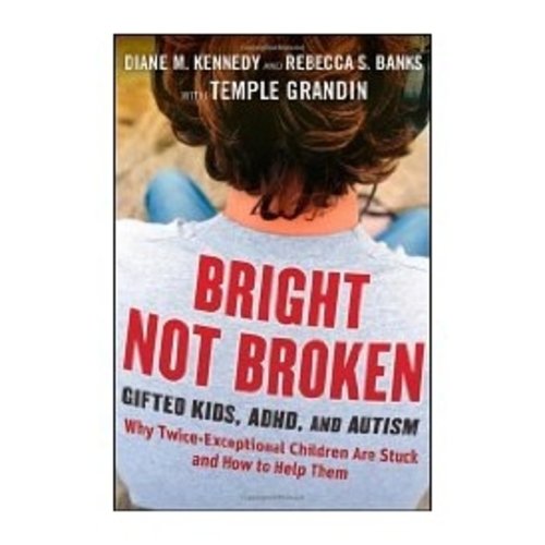 Books Bright Not Broken: Gifted Kids, ADHD and Autism.