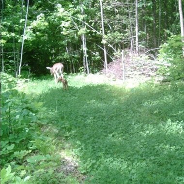 Rack Stacker Walk N Toss