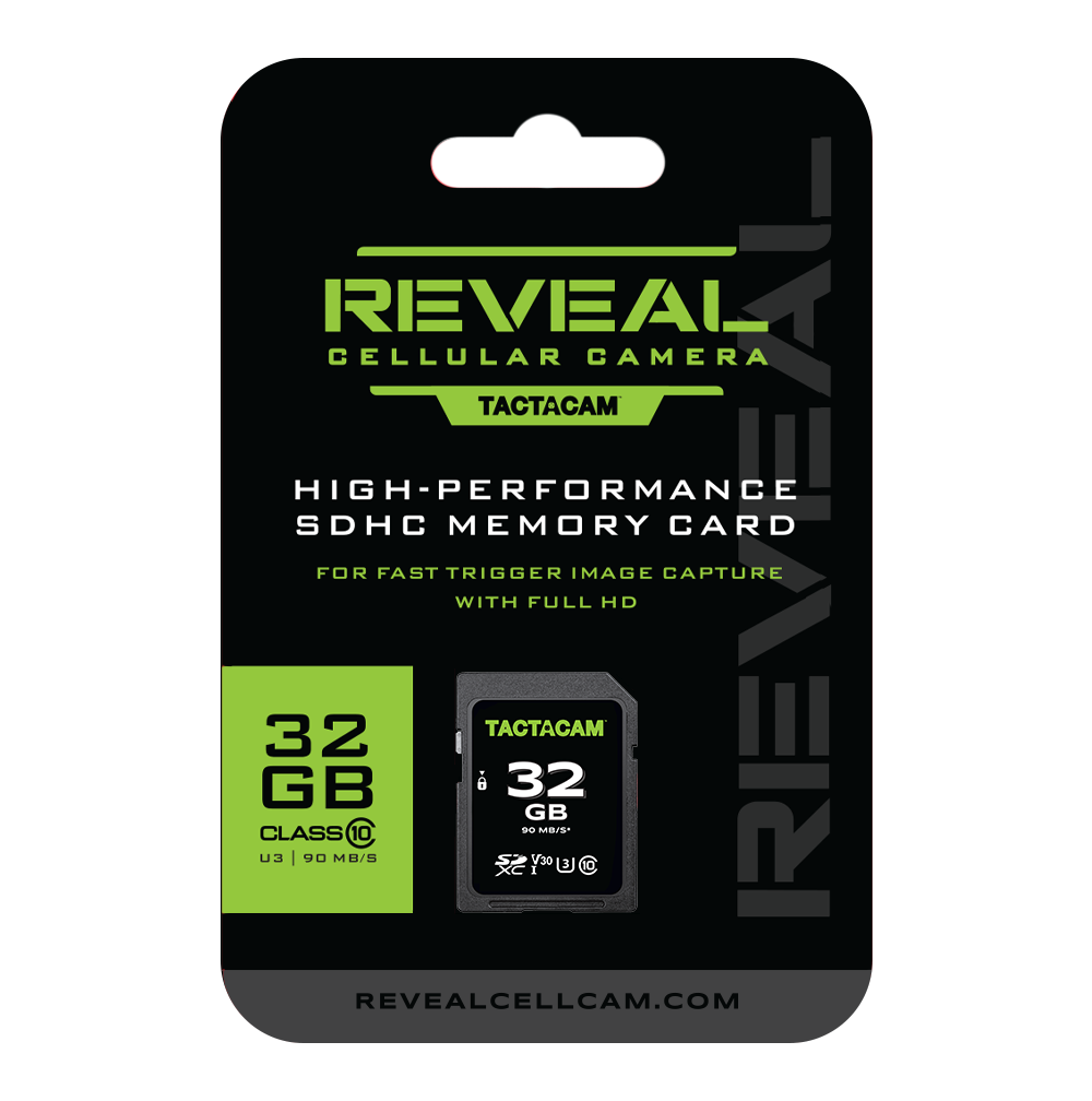 Reveal 32 GB SD Card Full size