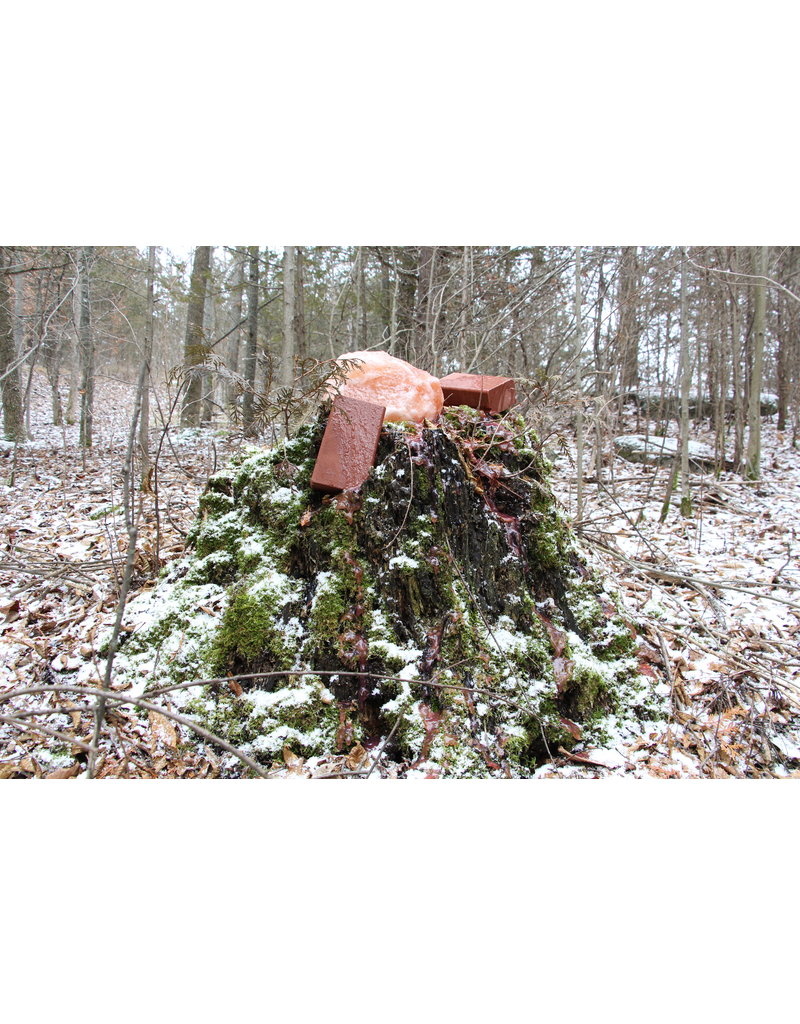 Rack Stacker Fury Bricks Coconut Vanilla