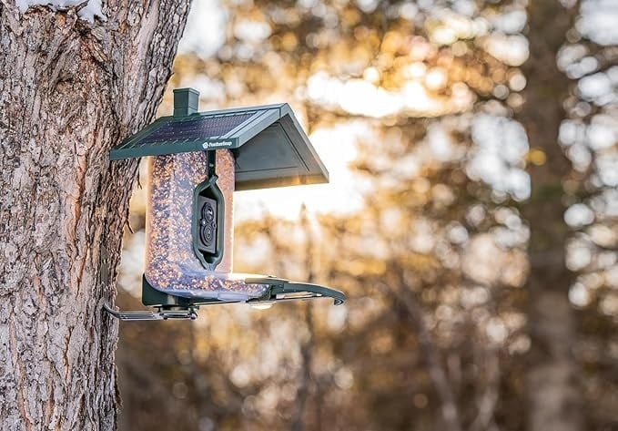 Feather Snap Scout Smart Bird Feeder