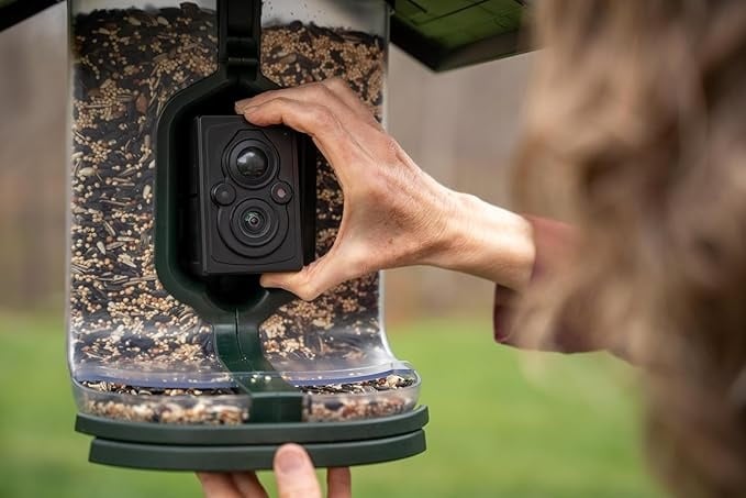 Feather Snap Scout Smart Bird Feeder