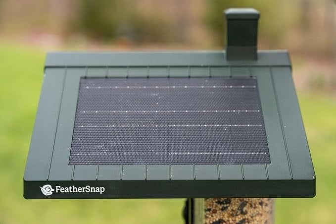 Feather Snap Scout Smart Bird Feeder