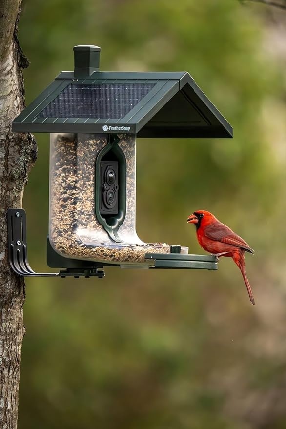 Feather Snap Scout Smart Bird Feeder