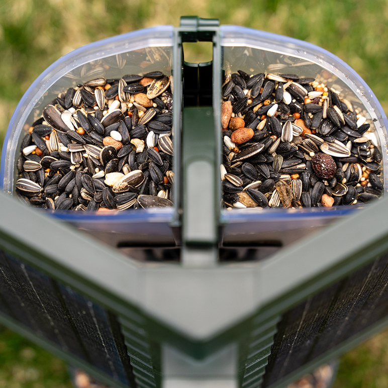 Feather Snap Scout Smart Bird Feeder