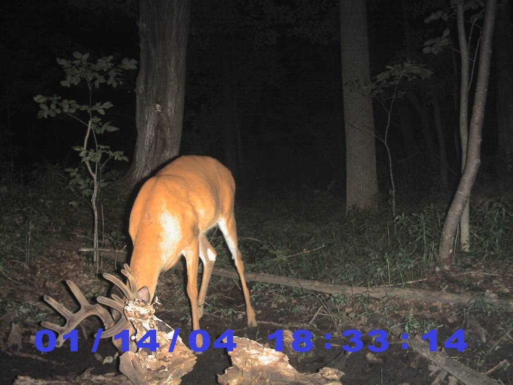 Rack Stacker USA Glory Mineral 55 lbs.