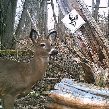 Rack Stacker USA Glory Mineral 55 lbs.