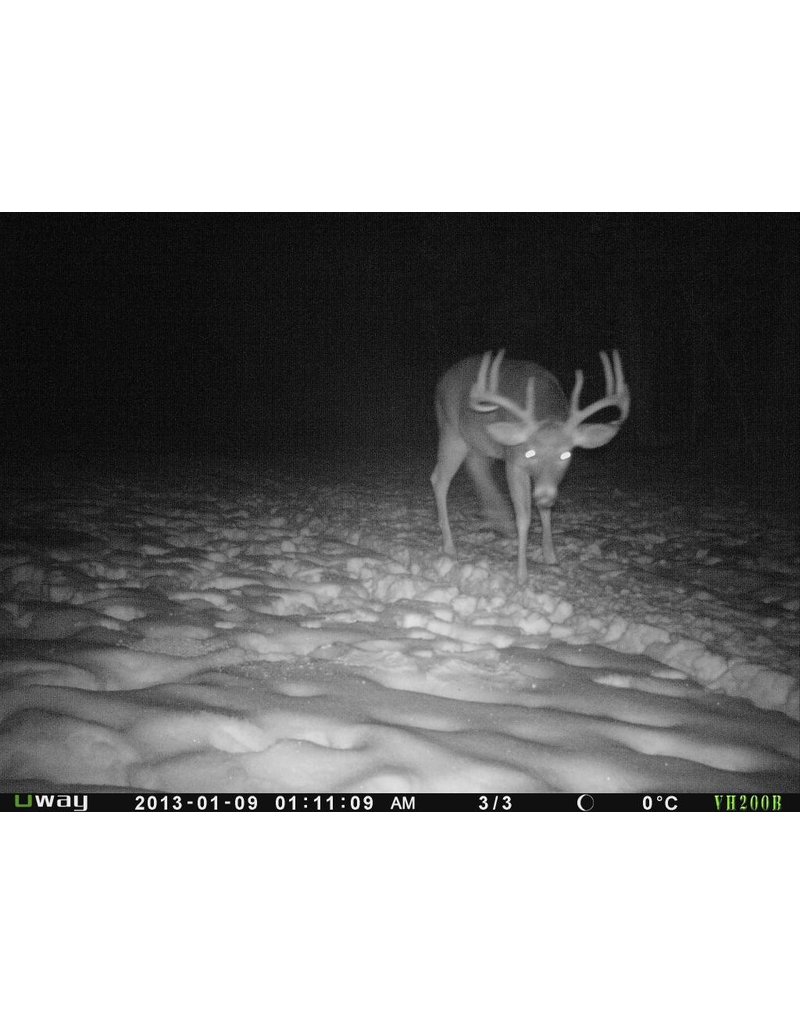 Rack Stacker Original Deer Feed 44lbs. Canada's Leading Big Game