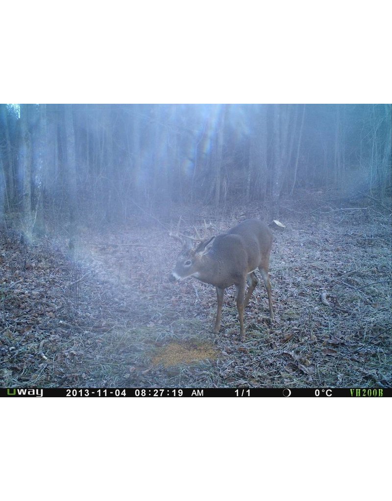 Rack Stacker Original Deer Feed 44lbs. Canada's Leading Big Game Attractants