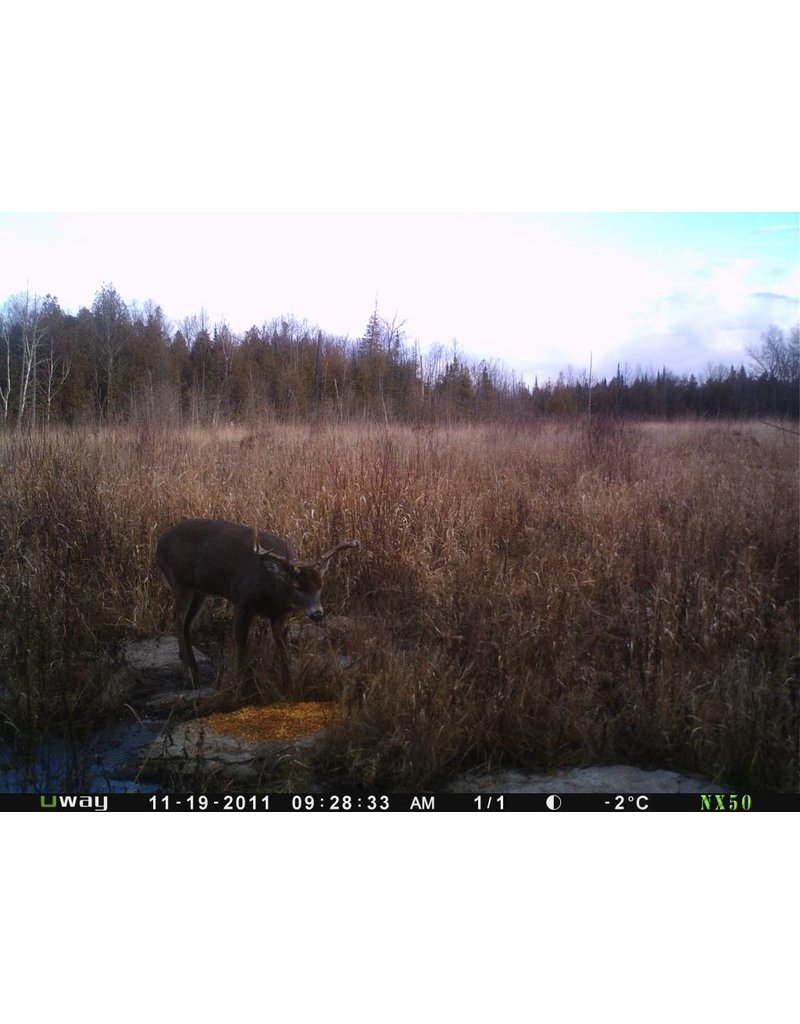 Rack Stacker Original Deer Feed 44lbs. Canada's Leading Big Game Attractants