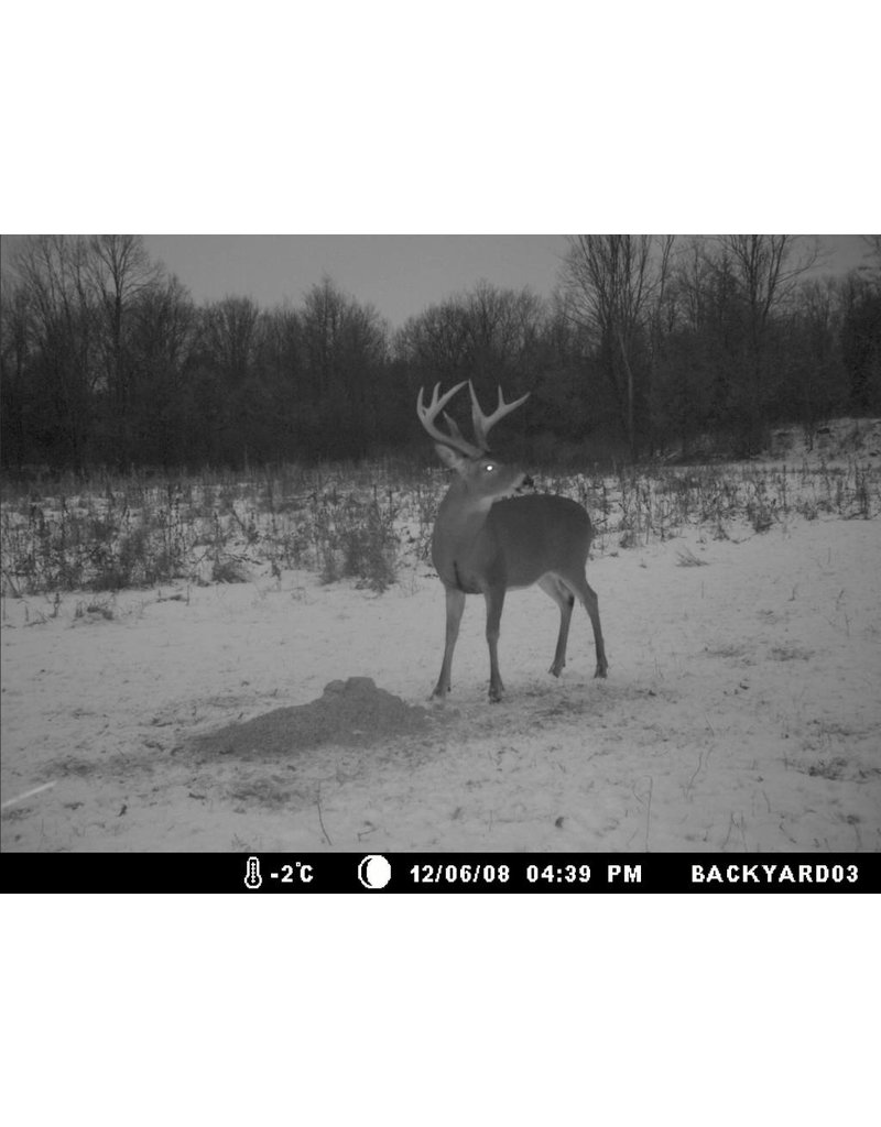 Rack Stacker Original Deer Feed 44lbs. Canada's Leading Big Game