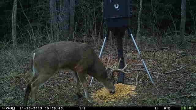 Rack Stacker Auto Feeder Deer Feed 44lb (20KG)