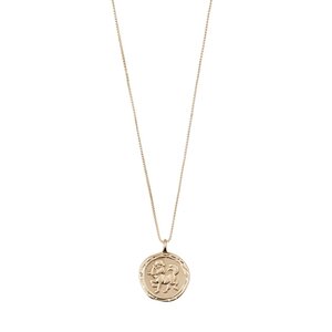 Pilgrim Horoscope Double Sided Necklace