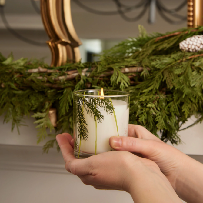 Thymes FF Pine Needle Design
