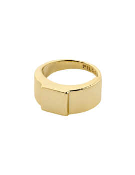 Pilgrim Friends Ring