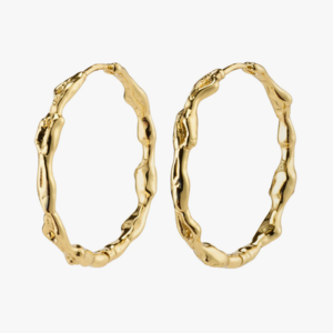 Pilgrim Zion II Earrings