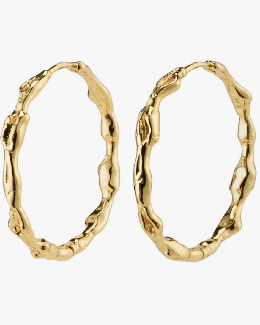 Pilgrim Zion II Earrings