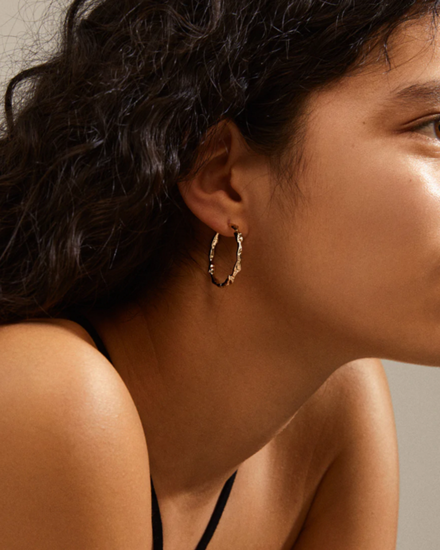 Pilgrim Zion II Earrings
