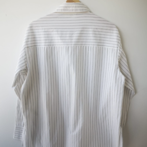 RD Style Addison Stripe Poplin Shirt