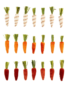 Mini Velvet Carrot Set