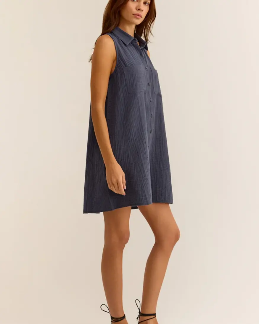 Z-Supply New Light Mini Dress