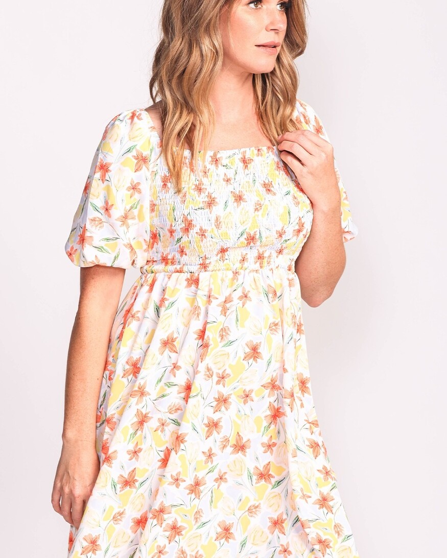 Pink Martini Penny Dress