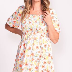 Pink Martini Penny Dress