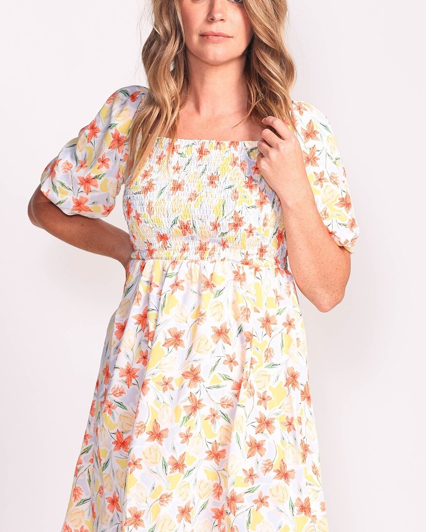Pink Martini Penny Dress