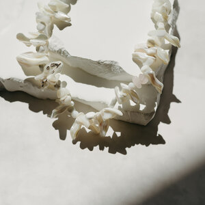 Pilgrim Light Seashell Necklace