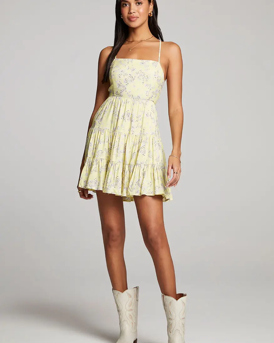 Saltwater Luxe Janessa Mini Dress