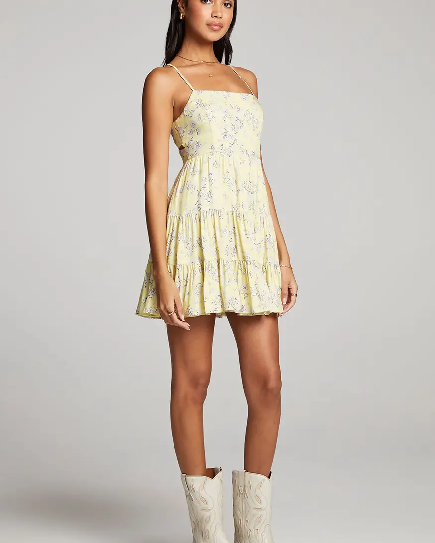 Saltwater Luxe Janessa Mini Dress
