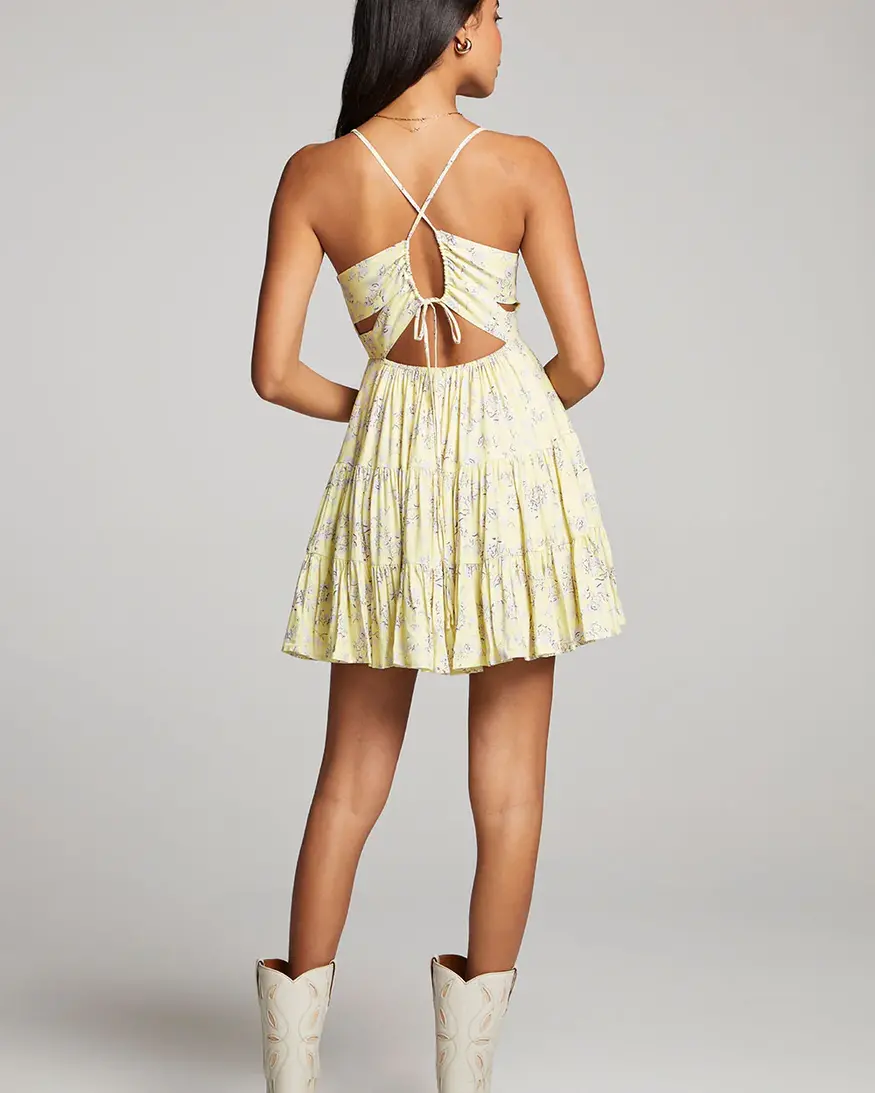 Saltwater Lux Janessa Mini Dress