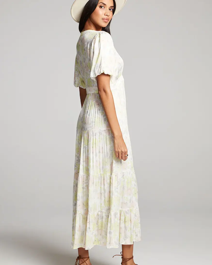 Saltwater Luxe Leona Maxi Dress