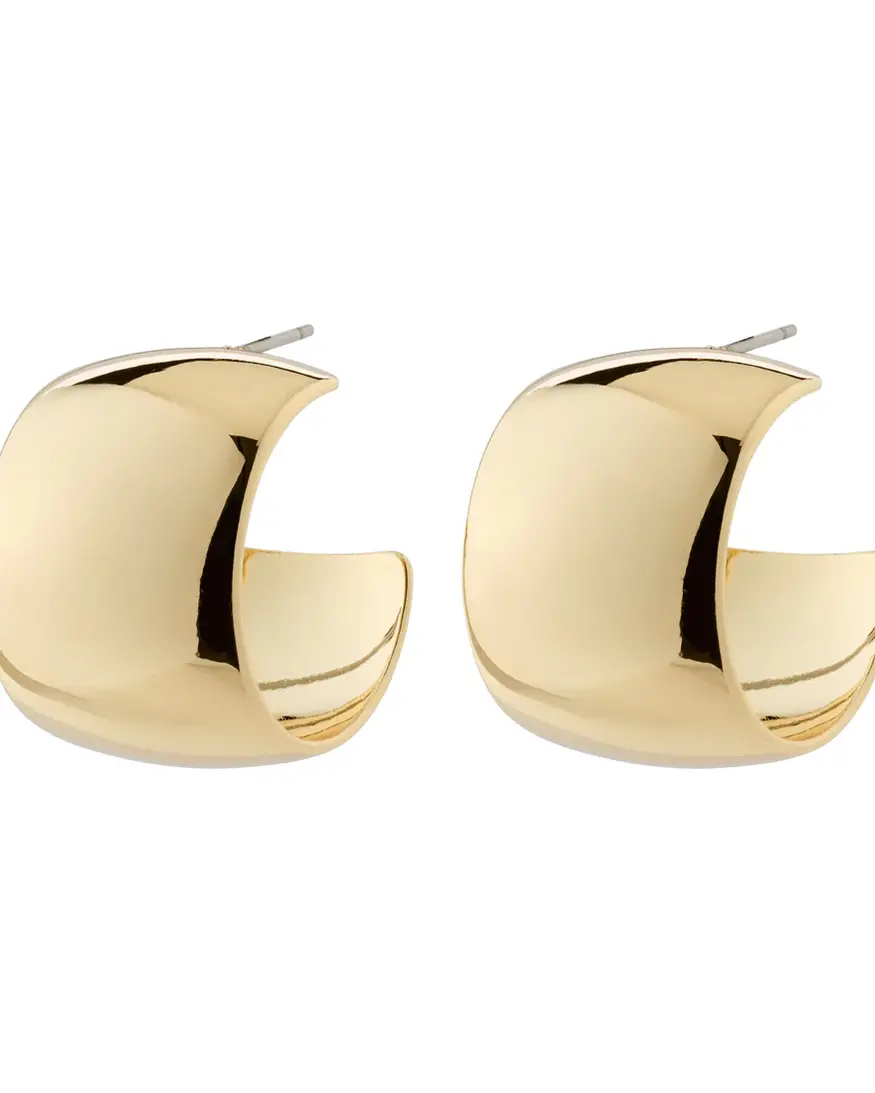 Pilgrim Talulla Earrings